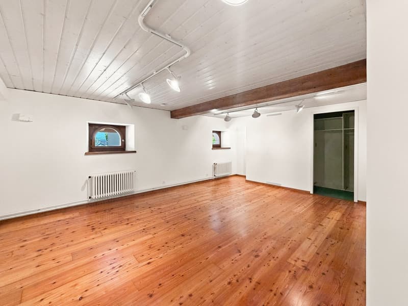 Spacieux appartement 5 pièces en duplex à Confignon (14)