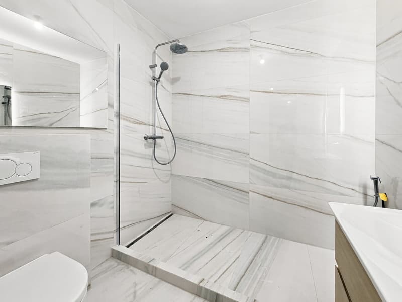 Appartement rénové avec balcon – Route de Florissant, Genève (12)