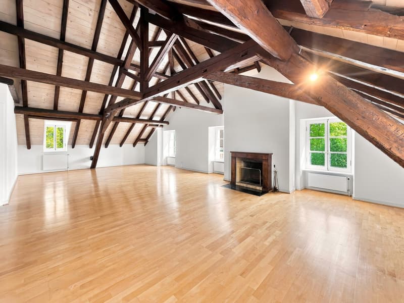 Spacieux appartement de 6.5 pièces avec charme et caractère à Chambésy (5)
