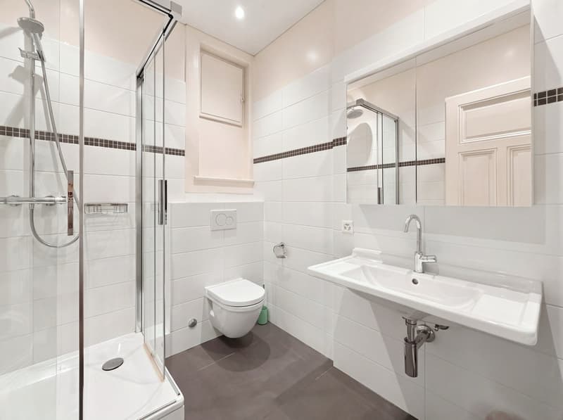 Magnifique appartement 7.5P en plein centre ville (20)