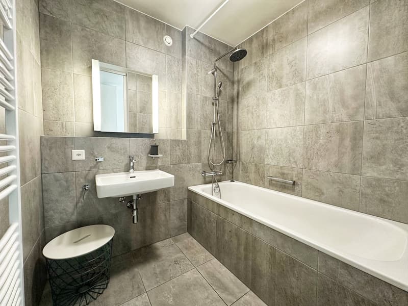 Appartement neuf et meublé - Centre-ville (4)