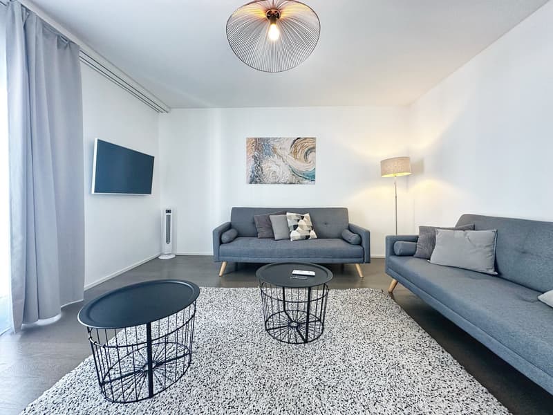 Appartement neuf et meublé - Centre-ville (16)
