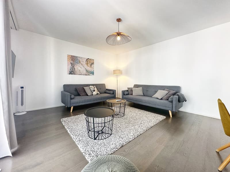 Appartement neuf et meublé - Centre-ville (14)