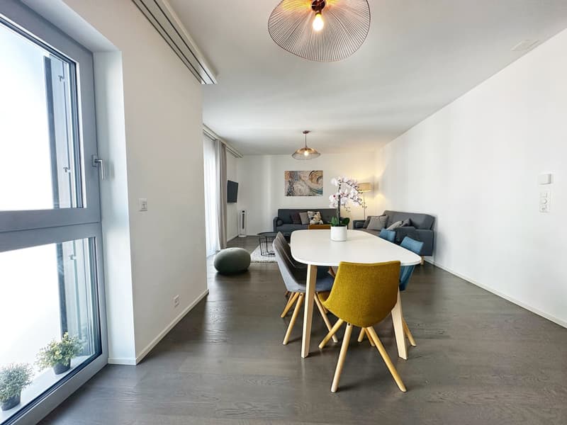 Appartement neuf et meublé - Centre-ville (10)