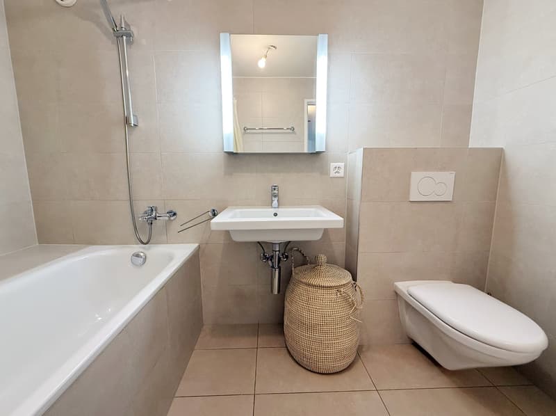 Magnifique appartement entièrement meublé Rue du Rhône (UNE ANNEE) (6)