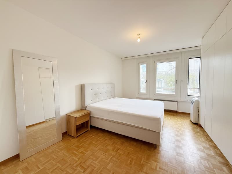 Magnifique appartement entièrement meublé Rue du Rhône (UNE ANNEE) (7)