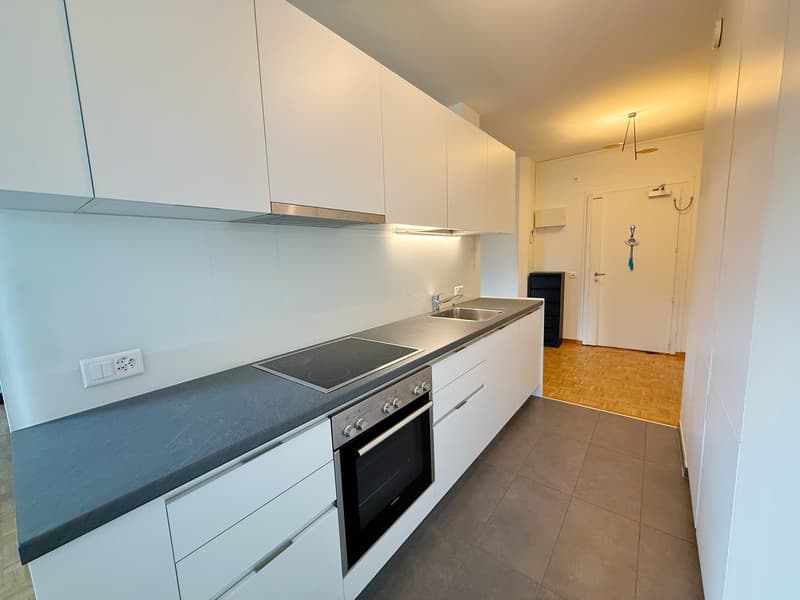 Magnifique appartement entièrement meublé Rue du Rhône (UNE ANNEE) (4)