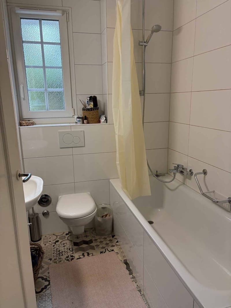 Charmant appartement au centre de Lausanne (9)