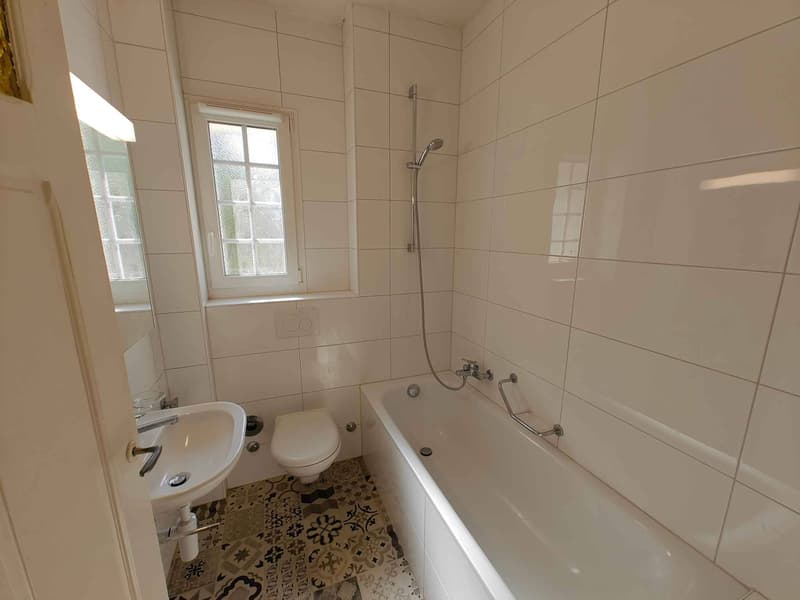 Charmant appartement au centre de Lausanne (4)