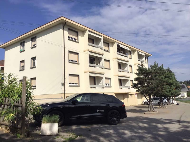 Splendide appartement à louer dans un quartier résidentiel paisible de Lausanne (1)