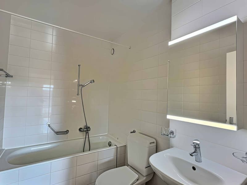 Splendide appartement à louer dans un quartier résidentiel paisible de Lausanne (2)