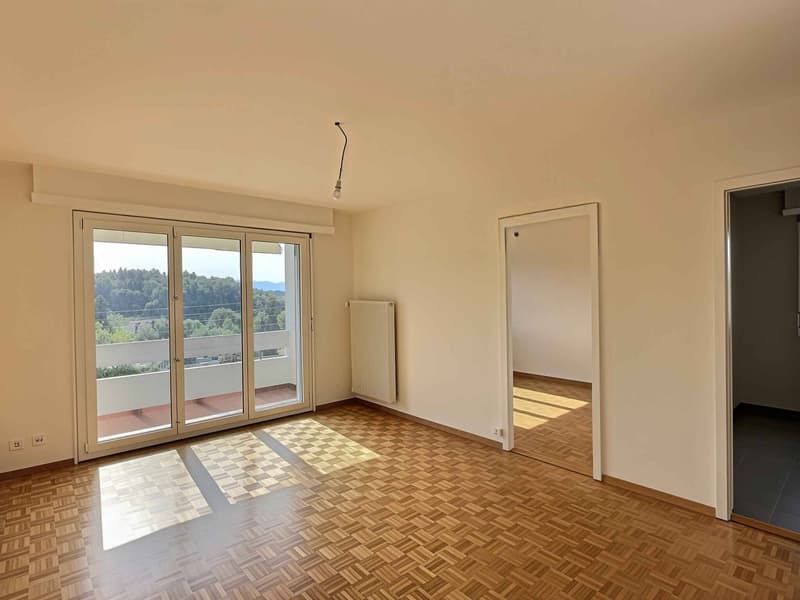 Splendide appartement à louer dans un quartier résidentiel paisible de Lausanne (3)