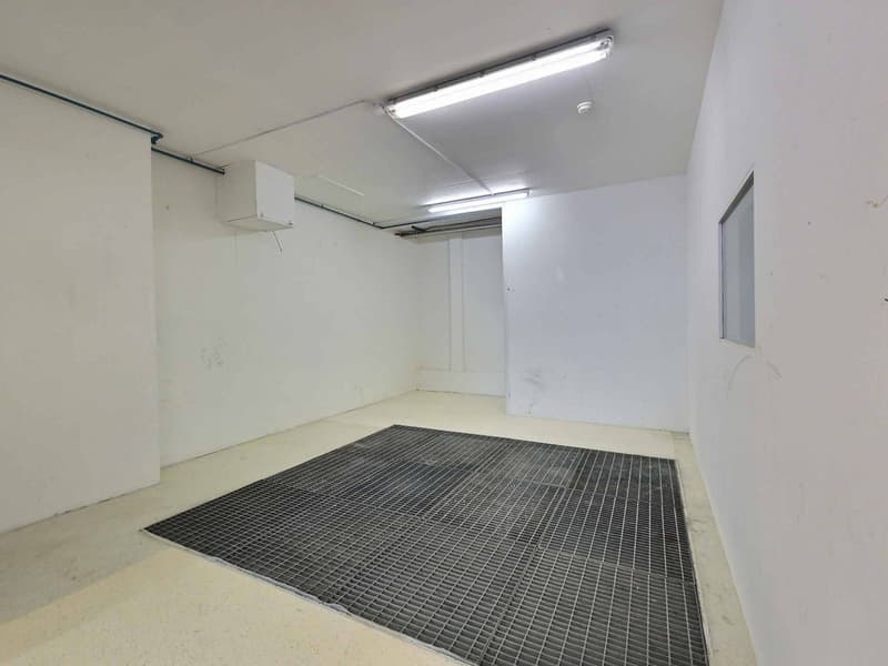 Surface commerciale / artisanale d'env. 243 m2 (8)