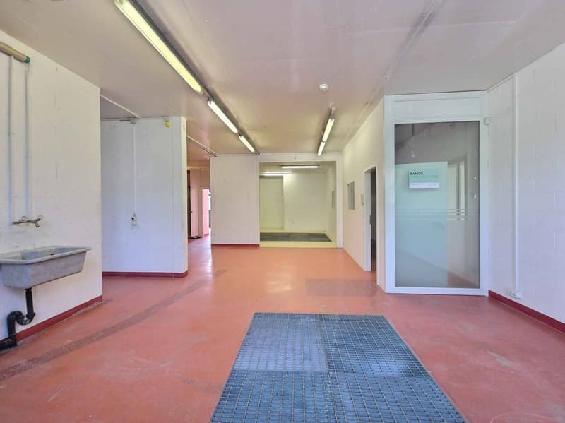 Surface commerciale / artisanale d'env. 243 m2 (2)