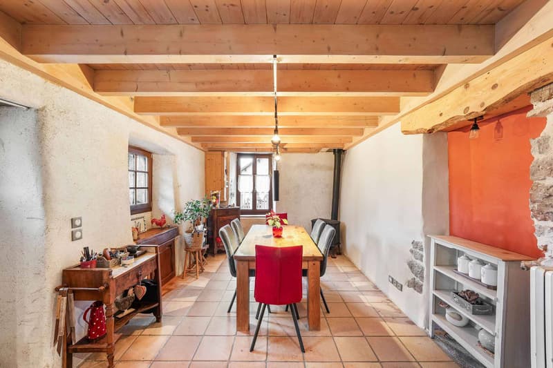 Ancienne ferme entièrement rénovée - Prévessin-Moëns (5)