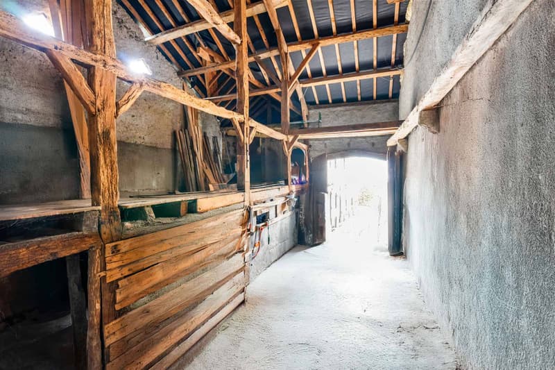 Ancienne ferme entièrement rénovée - Prévessin-Moëns (13)