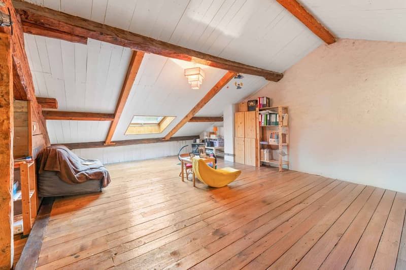 Ancienne ferme entièrement rénovée - Prévessin-Moëns (10)