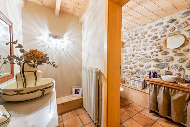 Ancienne ferme entièrement rénovée - Prévessin-Moëns (9)