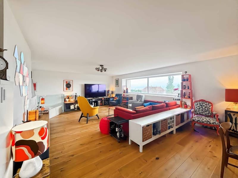 Triplex 6,5 pièces vue lac entièrement rénové (2)