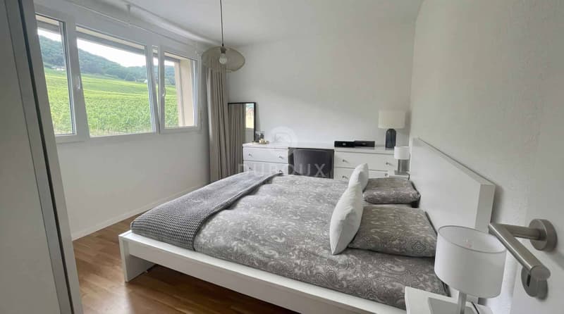 Appartement de 2.5 pièces (4)