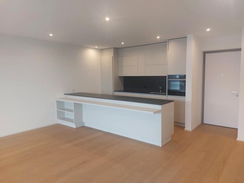 Montagnola: Lussuoso Appartamento con Vista Panoramica e Giardino Privato (12)