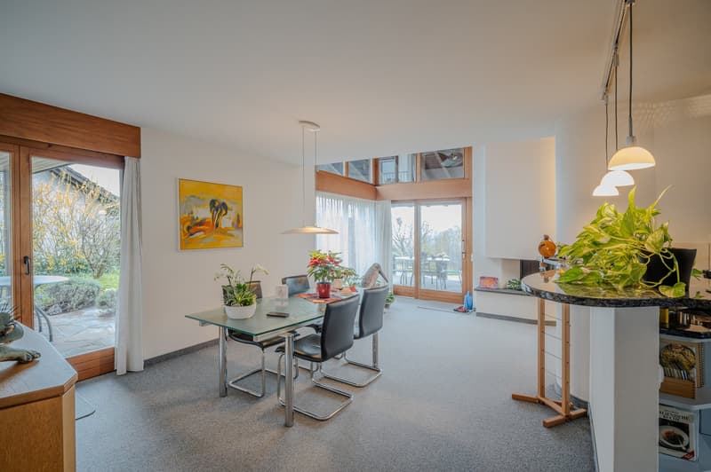 Dining room with glass table, chairs, plants, and a view of the outside