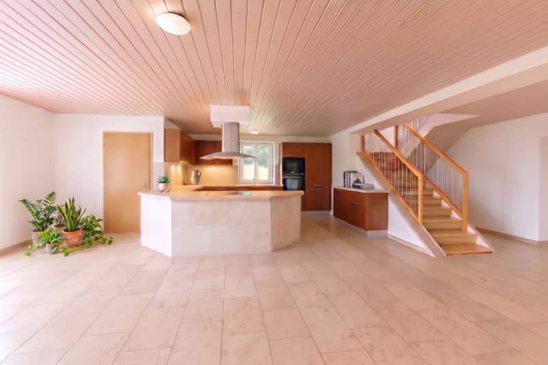 EXCEPTIONNELLE : Maison terrasse de 8.5 pièces avec vue sur la campagne (4)