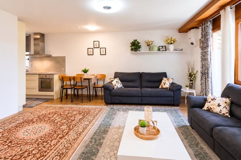 Appartement de 3.5 pièces : Un esprit de village aux portes du centre ville (1)