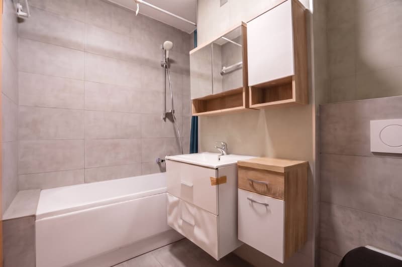 Appartement de 3.5 pièces : Un esprit de village aux portes du centre ville (7)