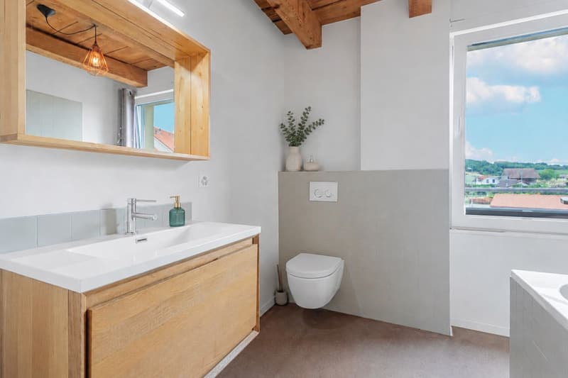 4.5 pièces plein de charme au coeur de Suscévaz (8)