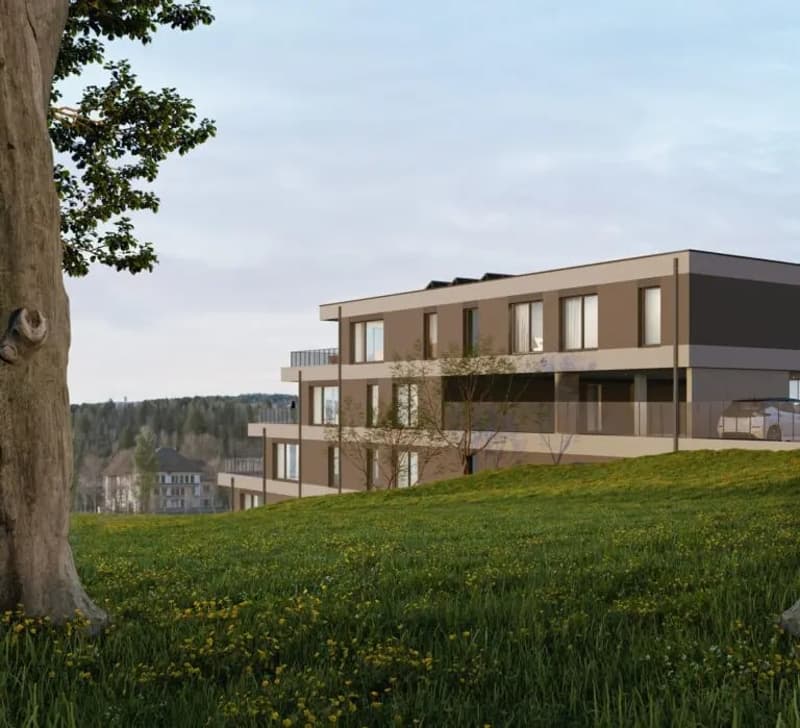Appartement de 3,5 pièces au dernier étage. (6)