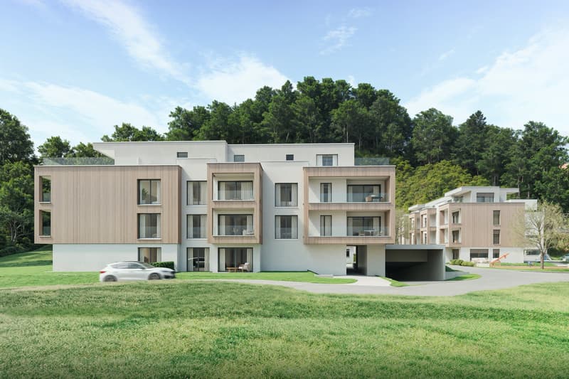 Chanélaz - 2.5 pces sur plan avec terrase et jardin. (5)