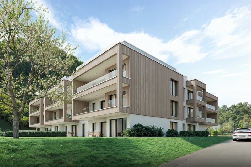 Chanélaz - 2.5 pces sur plan avec terrase et jardin. (3)