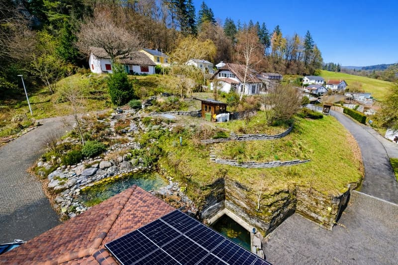 LUXURY, NATURE & PRIVACY AT AN ELEVATED LOCATION (10)