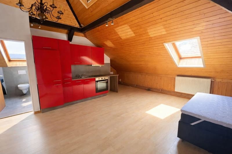 Red cabinets, wooden floor, white walls, white ceiling, white bed, white toilet, white radiator, chandelier, oven, sink, skylights