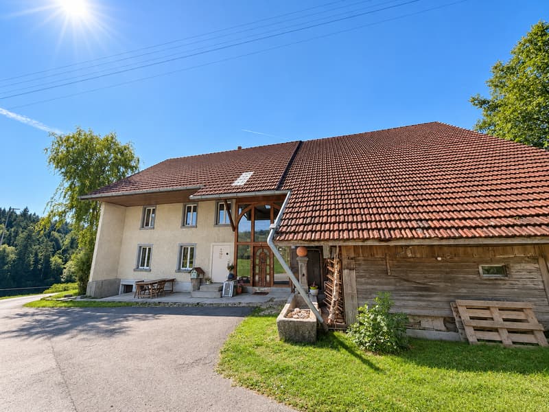 Einfamilienhaus mit Charakter und vielseitigem Potenzial in Oberkulm (9)