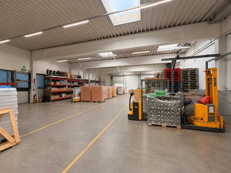 VIELSEITIGE UNTERNEHMENSLIEGENSCHAFT MIT LOGISTIK, BÜROS, BETRIEBSWOHNUNG UND TIEFKÜHLLAGER (9)