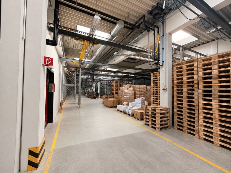 VIELSEITIGE UNTERNEHMENSLIEGENSCHAFT MIT LOGISTIK, BÜROS, BETRIEBSWOHNUNG UND TIEFKÜHLLAGER (4)