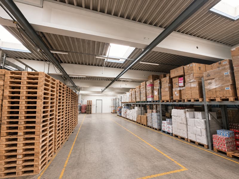 VIELSEITIGE UNTERNEHMENSLIEGENSCHAFT MIT LOGISTIK, BÜROS, BETRIEBSWOHNUNG UND TIEFKÜHLLAGER (8)