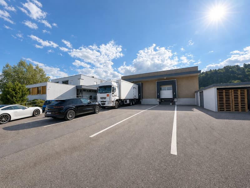 VIELSEITIGE UNTERNEHMENSLIEGENSCHAFT MIT LOGISTIK, BÜROS, BETRIEBSWOHNUNG UND TIEFKÜHLLAGER (5)