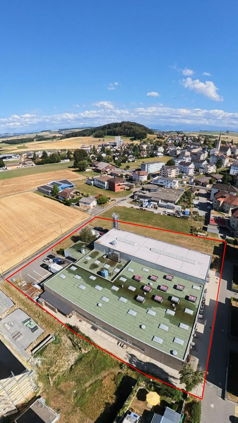 VIELSEITIGE UNTERNEHMENSLIEGENSCHAFT MIT LOGISTIK, BÜROS, BETRIEBSWOHNUNG UND TIEFKÜHLLAGER (2)