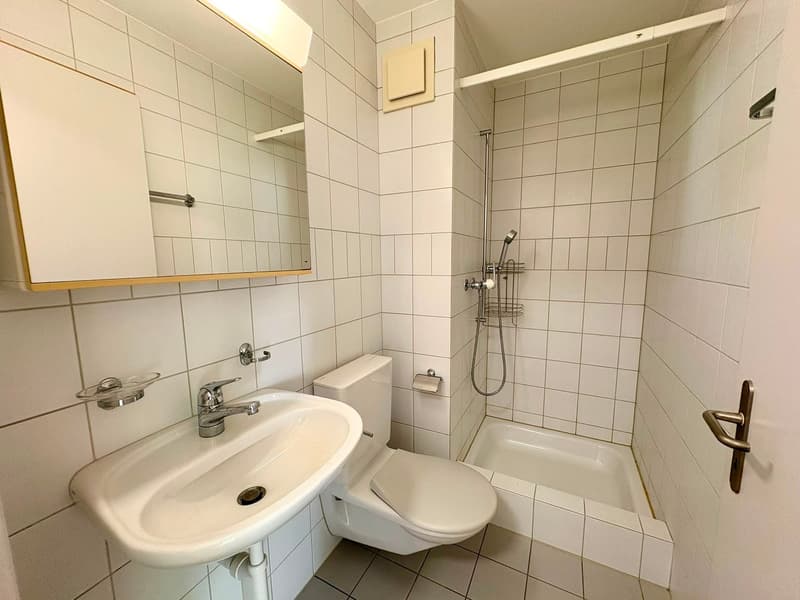Charmante 4.5-Zimmer-Wohnung in Winikon – sofort verfügbar! (14)