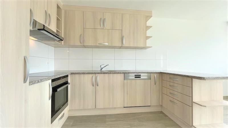 Moderne 3.5-Zimmer-Wohnung mit Bergblick in Bellach (1)