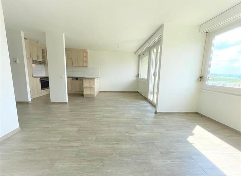 Helle 4.5-Zimmer-Wohnung mit Balkon in Bellach – sofort verfügbar! (1)
