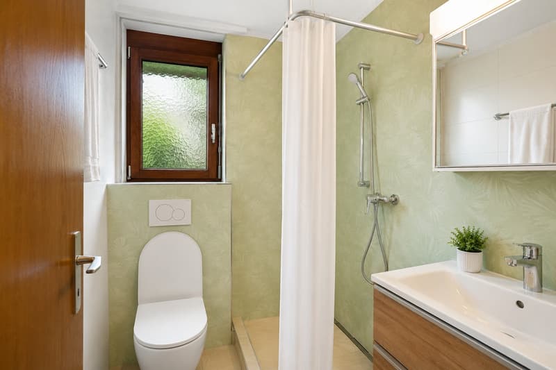 Charmantes 6.5-Zimmer-Einfamilienhaus in Stadt Zürich (9)