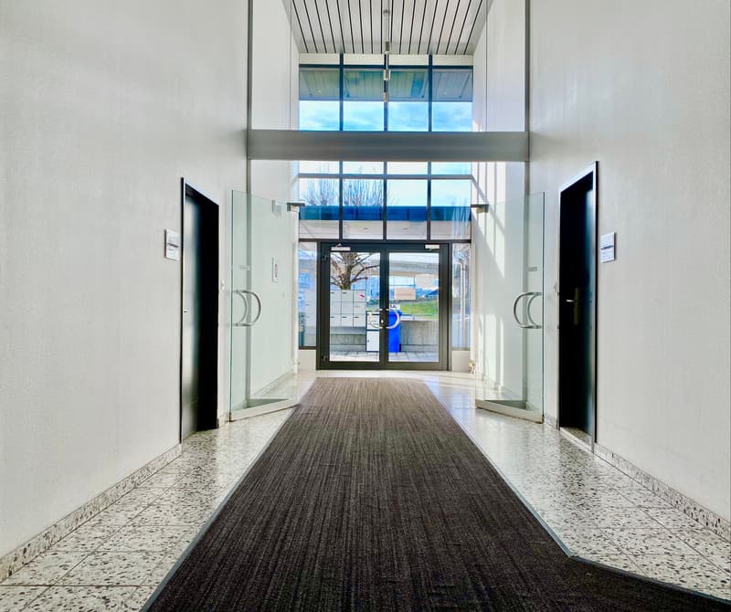 Empty hallway with white walls, glass doors, and a carpeted floor.