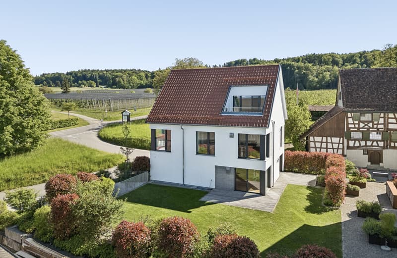 Designer Einfamilienhaus in steuergünstiger Lage (1)