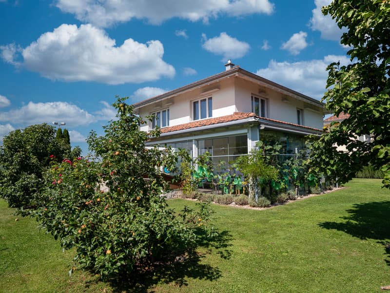Familienfreundliche, grosszügige Liegenschaft mit mediterranem Flair (8)