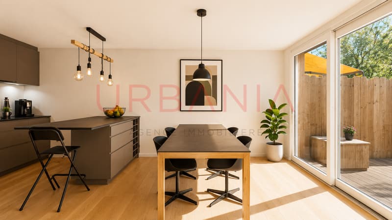 Magnifique maison dans le Vieux Carouge (4)