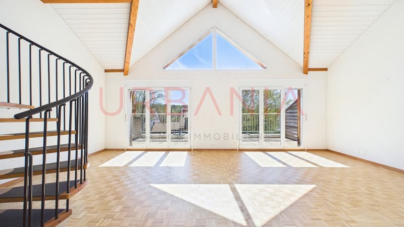 Magnifique appartement de 191m² avec terrasse et mezzanine (5)